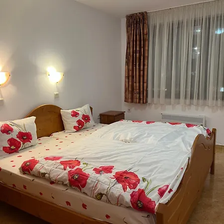 скиелит 5 * パンポロボ