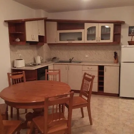 скиелит 5 パンポロボ